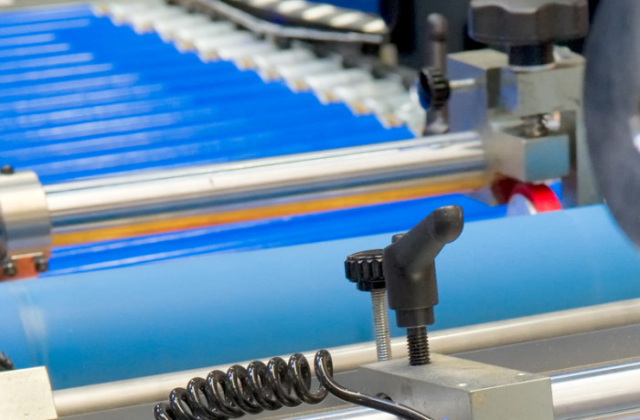 Sed blandit massa vel